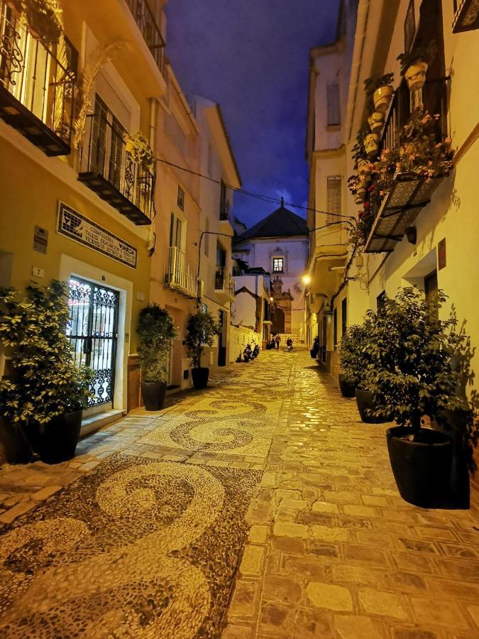 Urban Rose , Superb Private House In Historical Center, With Sunny Rooftop Malaga Exterior photo